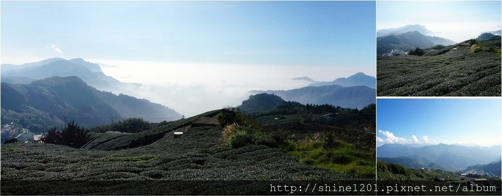 阿里山景點.阿里山民宿.阿里山美食.阿里山雲海.掌聲響起.璟隆慢活仙境