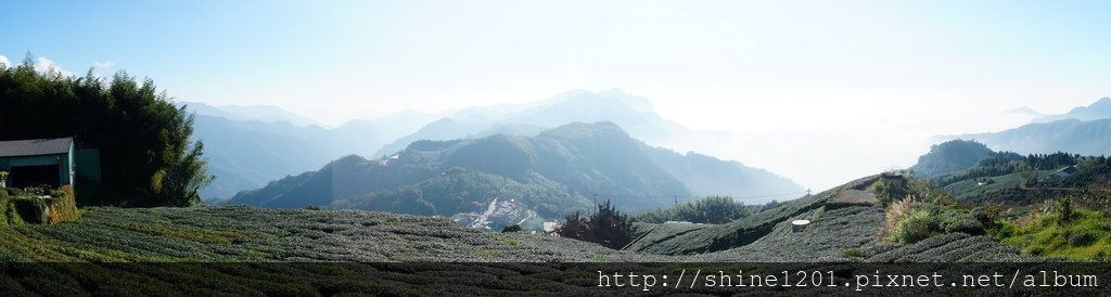 阿里山景點.阿里山民宿.阿里山美食.阿里山雲海.掌聲響起.璟隆慢活仙境