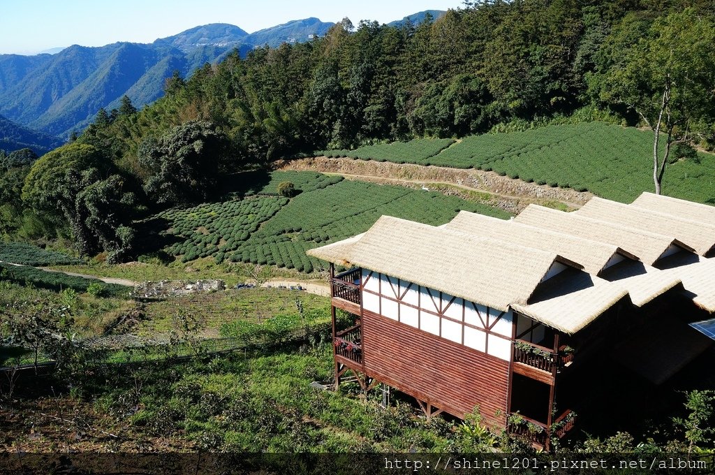 阿里山景點.阿里山民宿.阿里山美食.阿里山雲海.掌聲響起.璟隆慢活仙境