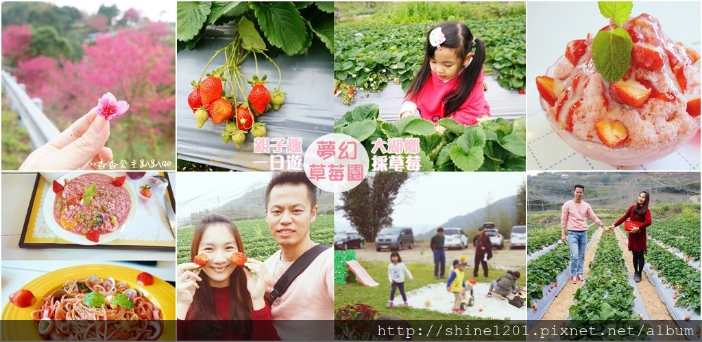 苗栗大湖採草莓親子一日遊 夢幻草莓園 花間集 苗栗大湖美食