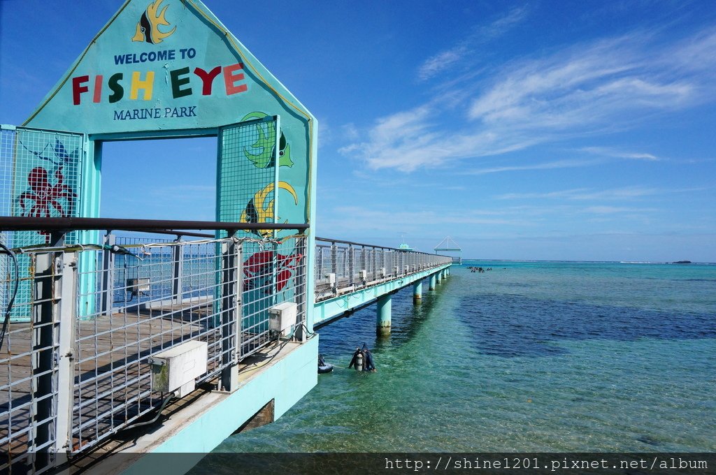 魚眼公園｜關島親子景點.關島浮潛.關島潛水