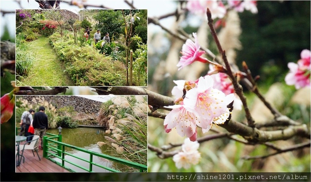 內湖親子草莓園美食推薦｜桂香草莓園&amp;COCO32咖啡棧