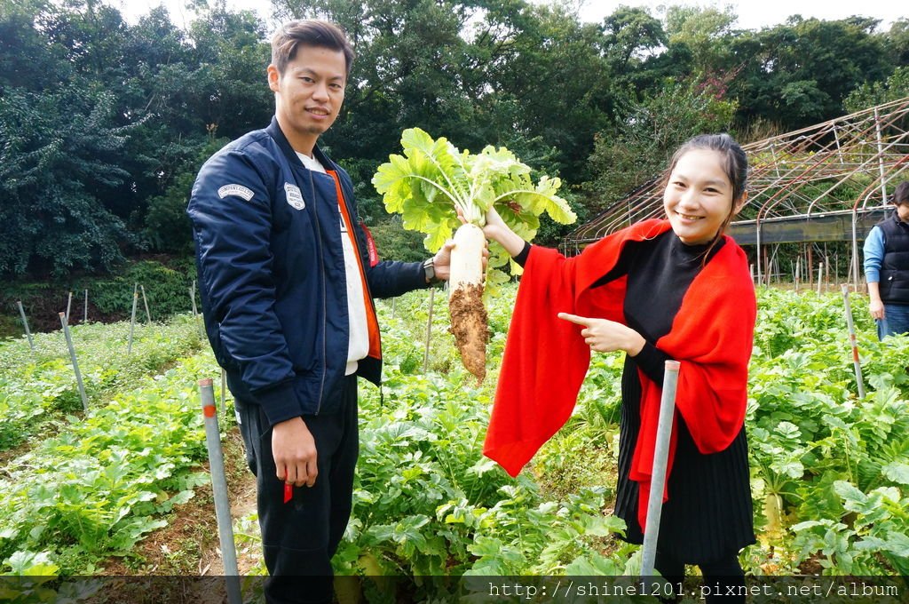 內湖親子草莓園美食推薦｜桂香草莓園&amp;COCO32咖啡棧