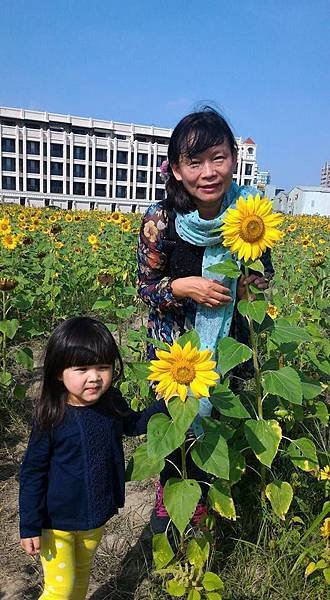 橋頭賞花105.12.25-10.jpg