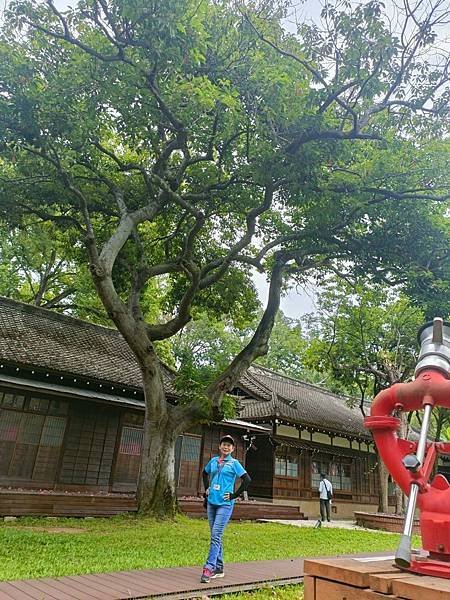 113.05.17嘉義公園-12.jpg