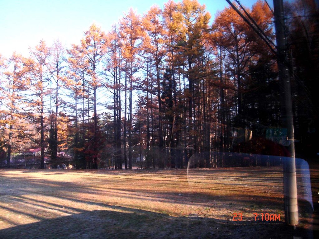 DSC00706.jpg