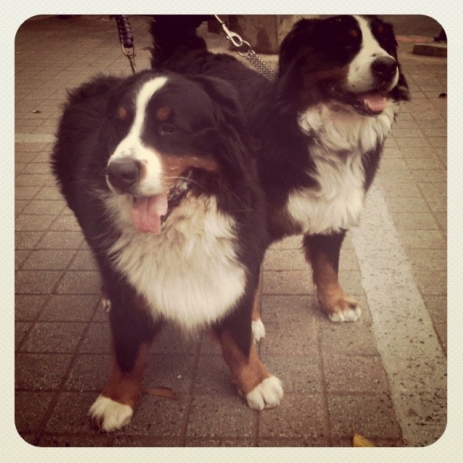 nEO_IMG_IMG_0794.jpg