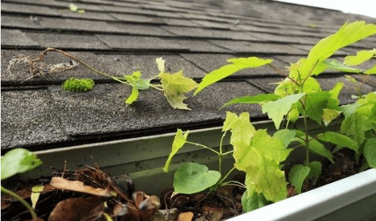 How to quickly clean gutters a