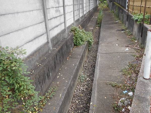 Cleaning the gutters? Thorough