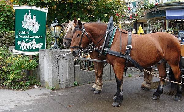 往新天鵝堡的馬車