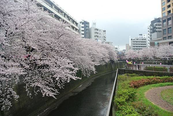 傳說中的目黑川.JPG