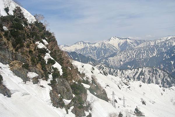 埋在雪裡的樹木.JPG