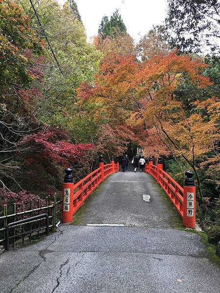 鳥居橋.JPG