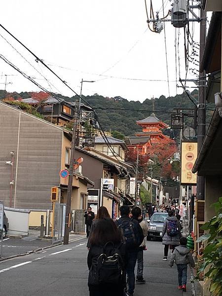 遠方的清水寺.JPG