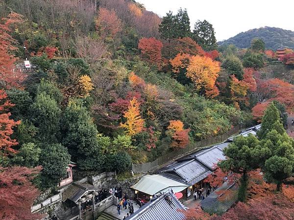 坡道下的音羽の滝.JPG