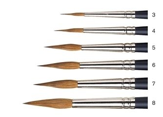 Artists%5C Watercolor Brushes-Pointed Round2.jpg