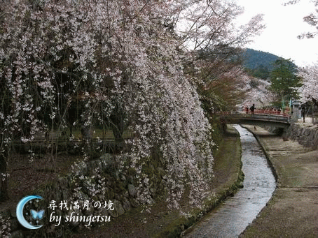 IMG_0625-好像是往大元神社路上.gif