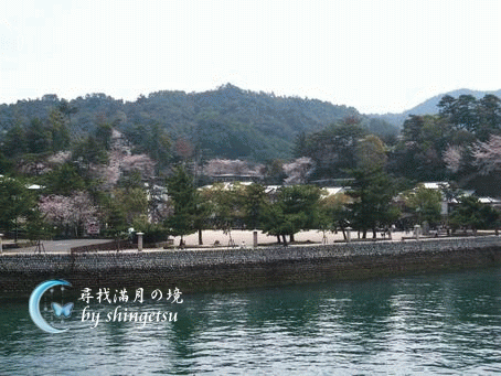 IMG_0513-從海上看宮島.gif
