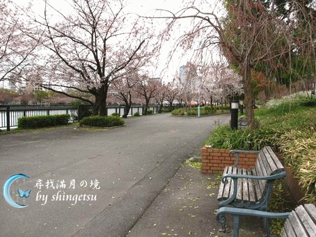 IMG_0058-櫻之宮公園散步道&amp;休息椅.gif