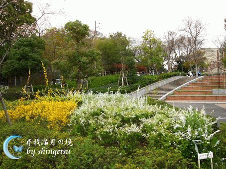 IMG_0059-櫻之宮公園其它花草.gif