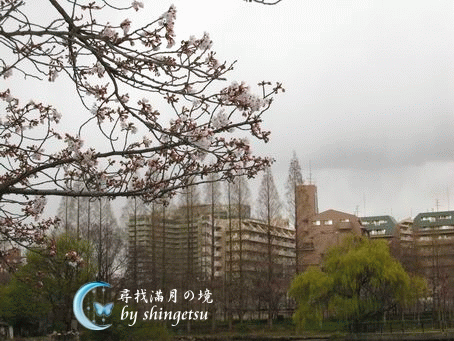 IMG_0077-櫻之宮公園景色.gif