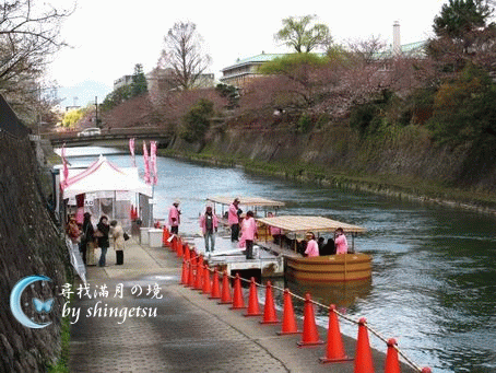 IMG_0172-岡崎櫻迴廊十石舟遊河.gif