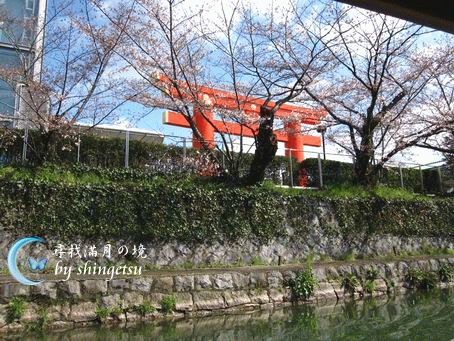 IMG_0185-平安神宮的紅色鳥居.gif