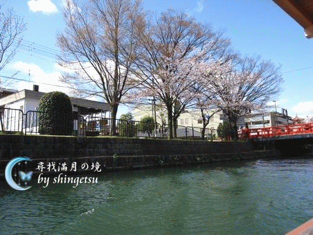 IMG_0216-十石舟內看到還是花苞的櫻樹.gif