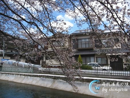 IMG_0281-山科疏水-櫻&amp;住宅.gif