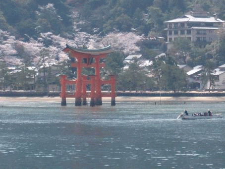 IMG_0509-渡輪接近島居中.gif