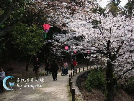 IMG_0650-宮島小徑.gif