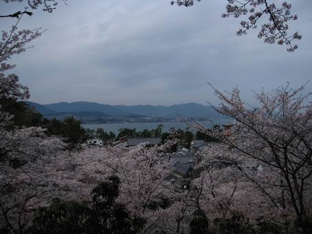 IMG_0648.gif