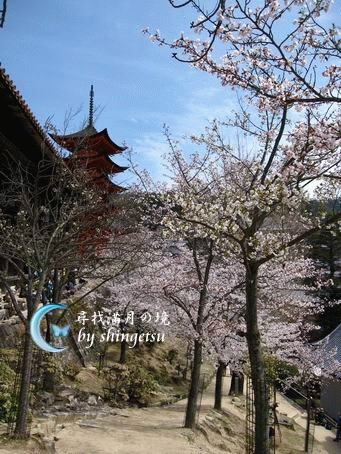 IMG_0570-千疊閣旁的斜坡走道.gif
