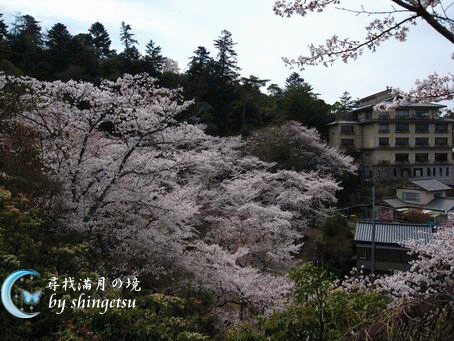 IMG_0641.gif