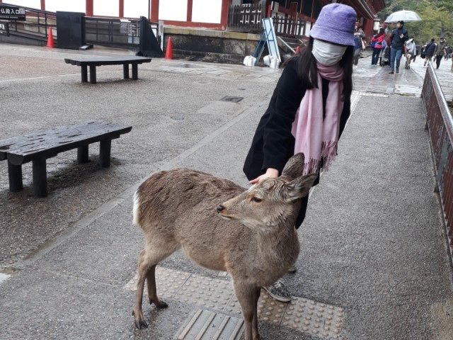 20190317_114647.jpg