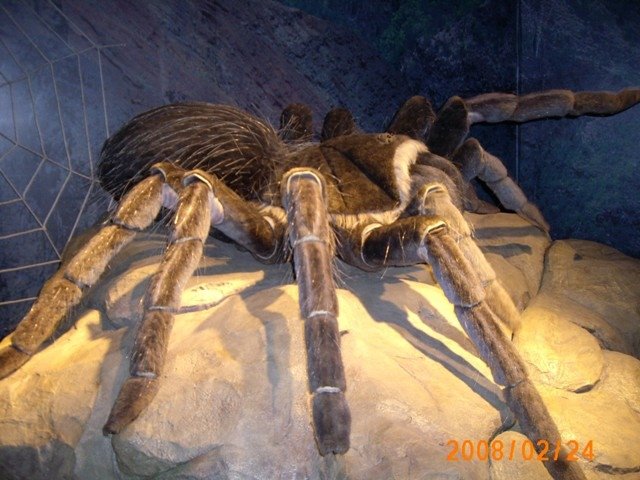 IMG_0424.JPG