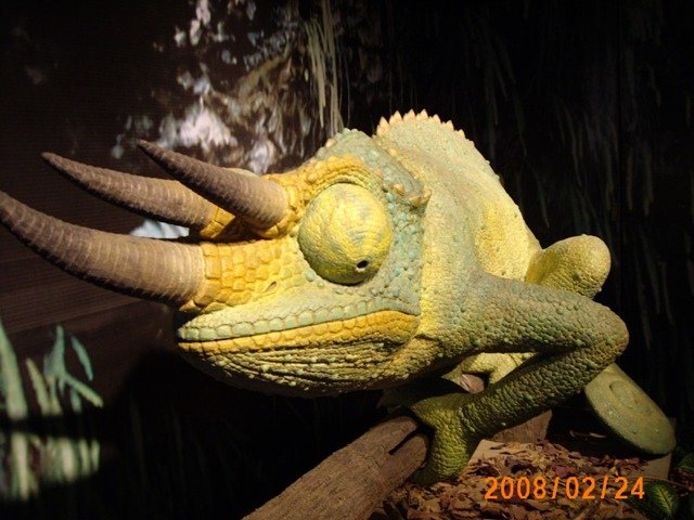 IMG_0427.JPG