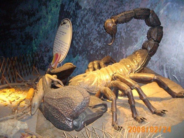 IMG_0425.JPG