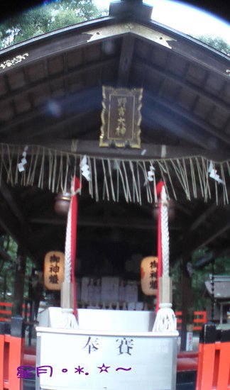 a3野宮神社03