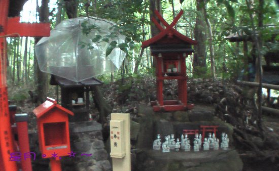 a3野宮神社09