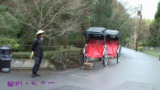 a3野宮神社13