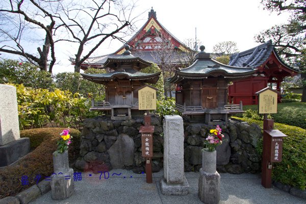 1a浅草寺10