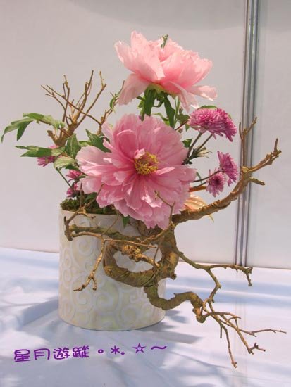 A牡丹展 (7)