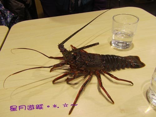  忠兵衛-伊勢海老2013秋東京
