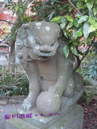 b2高幡不動 (14)