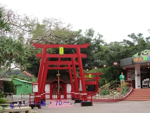 b玉泉洞王國村12