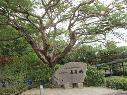 b玉泉洞王國村05