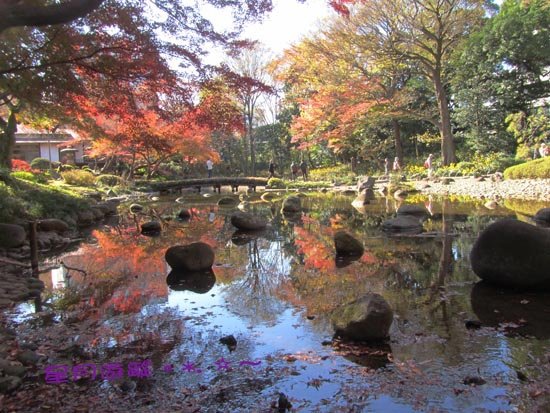 A小石川後楽園 (3)