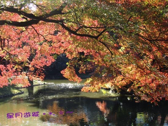 A小石川後楽園 (9)