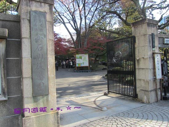 A小石川後楽園 (16)